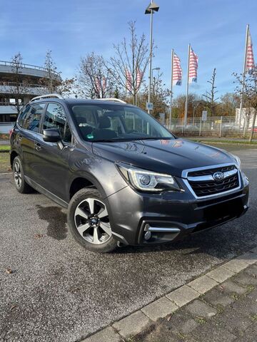 Gebrauchte Subaru Forester