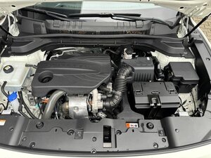 SsangYong TORRES 1.5 Turbo+Sitzheizung+Lenkradheizung+TOP+ 7.872 km 24.888 &euro; Meerbusch 40667