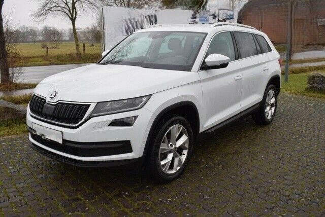 Skoda Kodiaq 169.900 km 20.100 &euro; Herne 44651