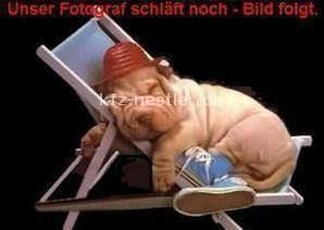 VW Tayron 8.100 km 50.850 &euro; Essen 45134