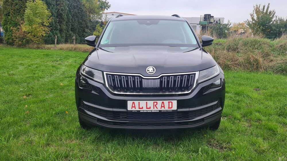 Skoda Kodiaq 124.999 km 25.450 &euro; Dorsten 46284